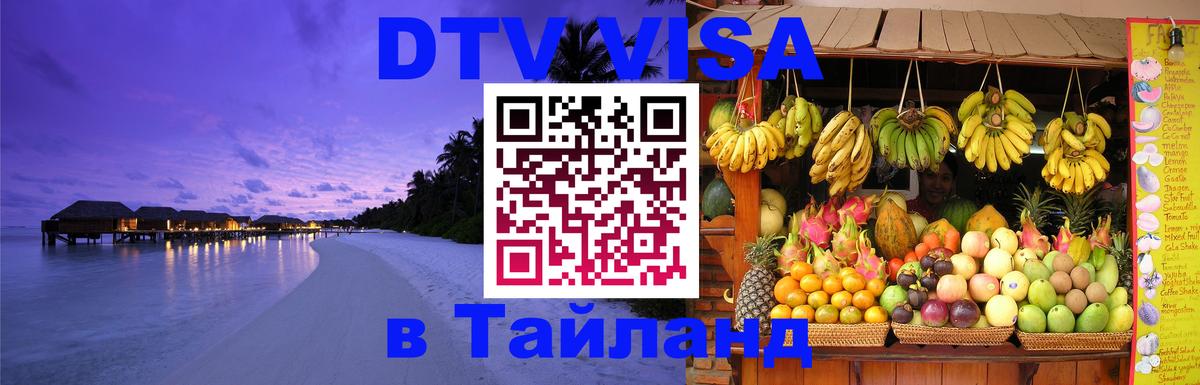Сколько стоит DTV виза — актуальные цены, оформление даже без документов - Балашиха 